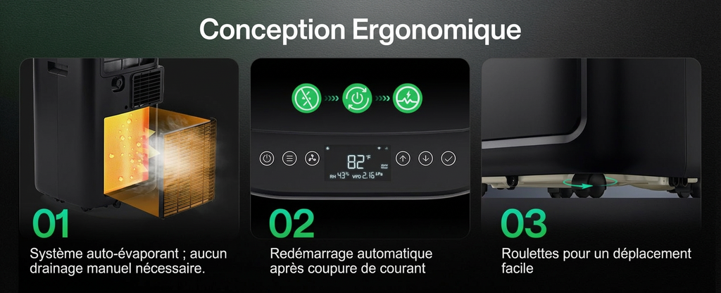 11 Desc 6 Fr