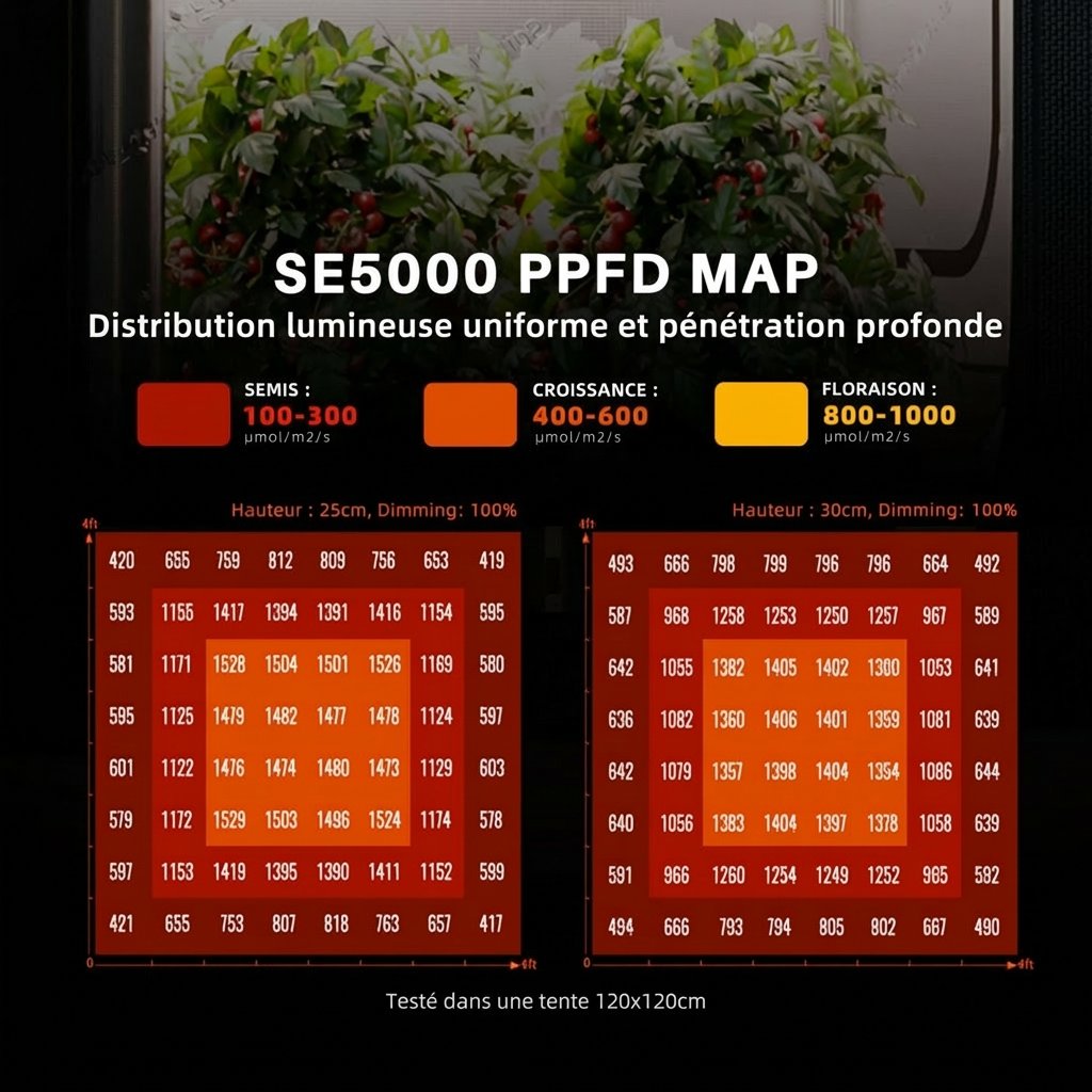 SE5000-EVO-PPFD-MAP-120x120cm-1200x1200.jpg