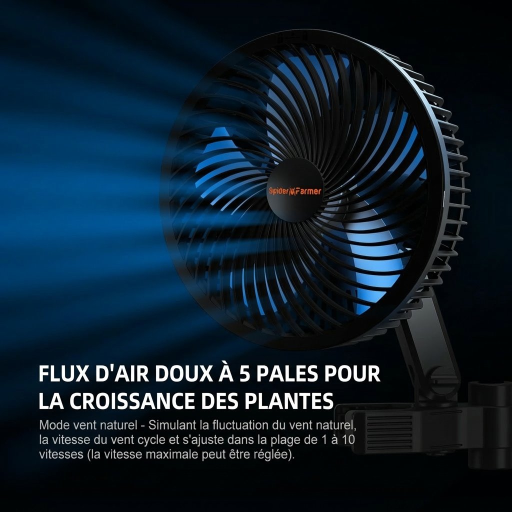 5-Clipfan.jpg