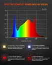 SF300-2.jpg