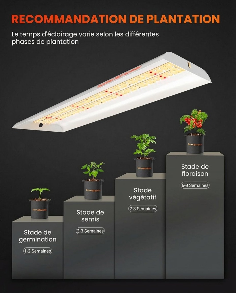 SF300-growing-tips.jpg