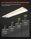 SF300-growing-tips.jpg