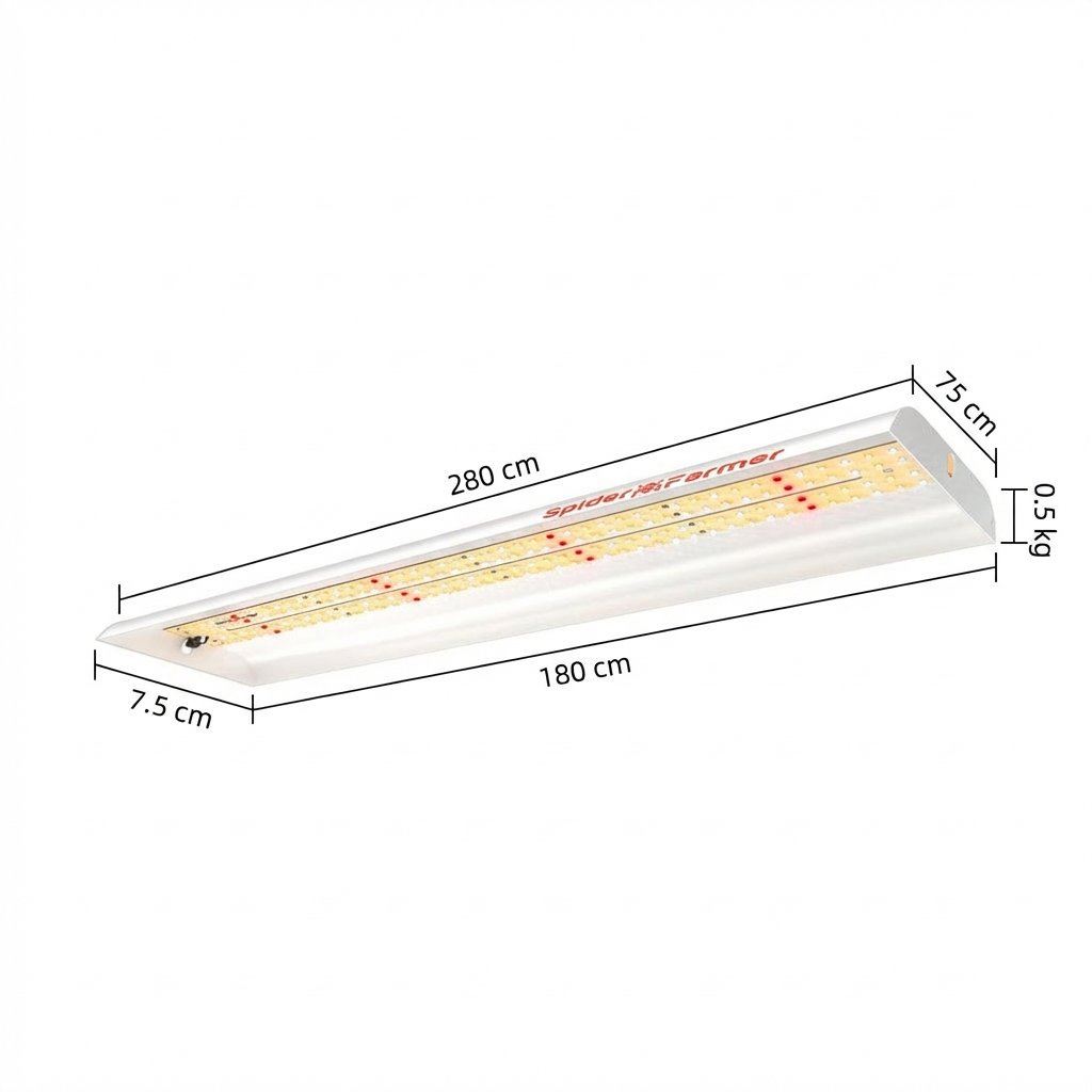 SF300E799BDE5BA95E59BBE1-1200x1200.jpg