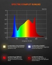 SF-garden-light-PPFD.jpg
