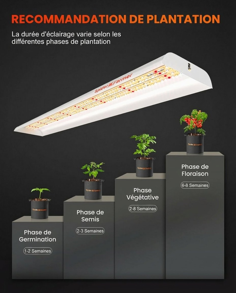 SF600-growing-tips.jpg