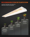 SF600-growing-tips.jpg