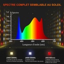 5-1-1200x1200.jpg