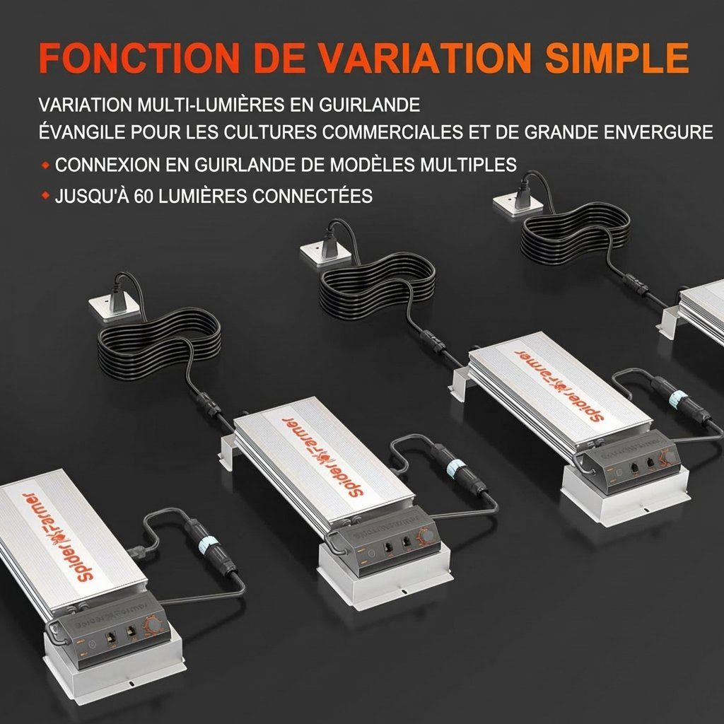 sf7000-dainy-chain-1200x1200.jpg