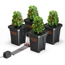 DWC-4PC-1-1200x1200.jpg