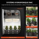 DWC-4PC-9-1200x1200.jpg
