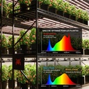 2024-Newest-Version-Spider-Farmer-Dimmable-Foldable-Full-Spectrum-730W-Led-Grow-Light-G-Series-G7000_12-1200x1200.jpg