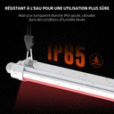 SF-Glowr40-IP65-Water-resistant-1200x1200.jpg