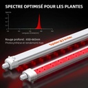 SF-Glowr40-red-spectrum-1-1200x1200.jpg