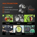 Magnifier-01-1200x1200.jpg