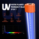 SUPP-UV-new-3-1200x1200.jpg
