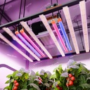 Spider Farmer Barres UV/IR 60cm — Complément LED