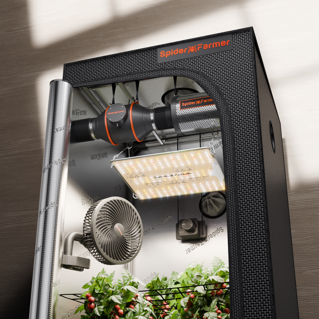 Spider Farmer Kit Complet SF1000D — Tente 70x70cm + LED 100W + ventilation