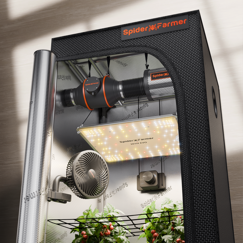 Kit SF1000 — Setup débutant